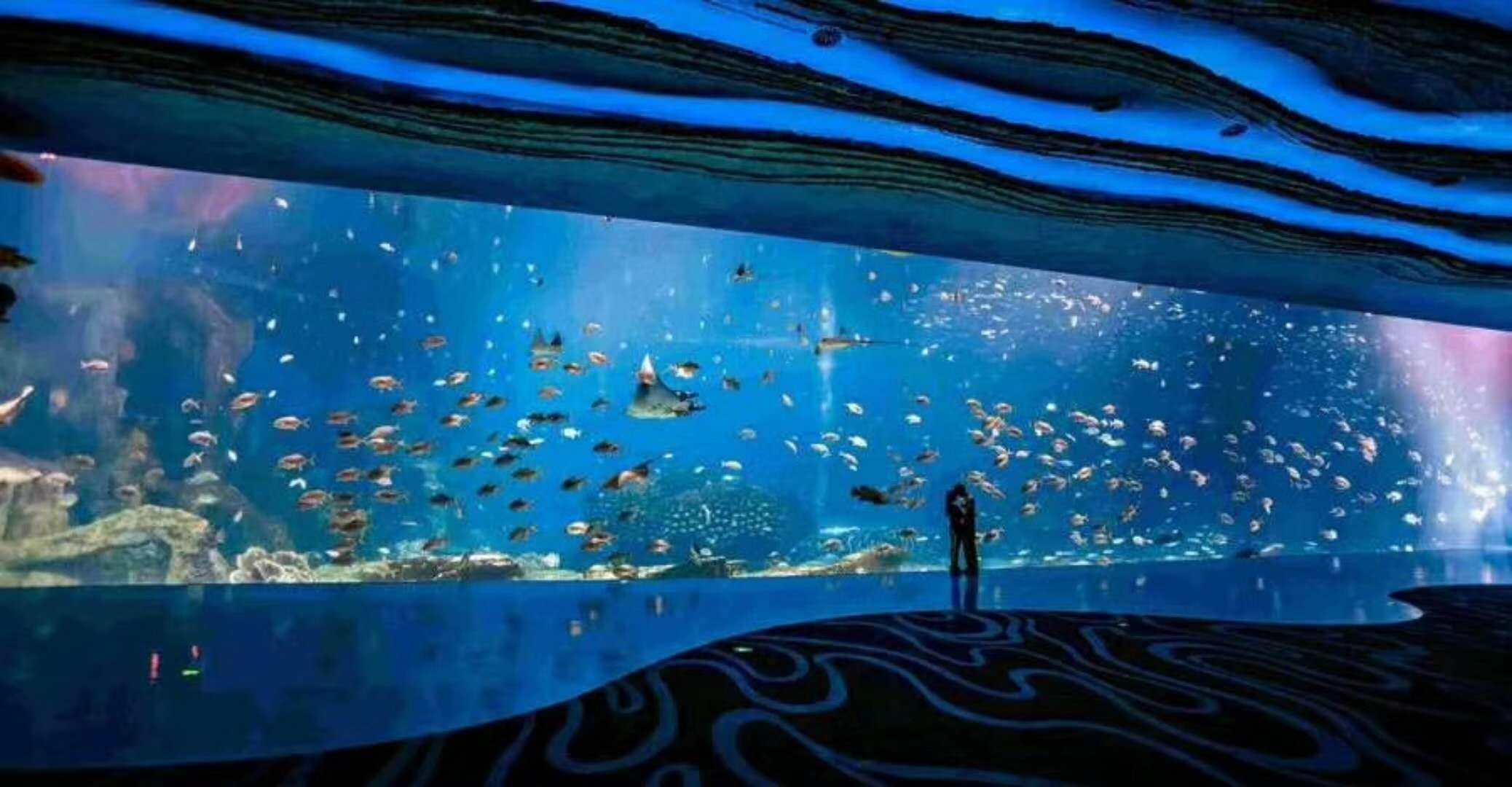 海洋館水族館生物養(yǎng)殖用水臭氧殺菌，滅藻